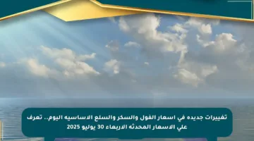 تغييرات جديدة في أسعار الفول والسكر والسلع الأساسية اليوم.. تعرف على الأسعار المحدثة الأربعاء 30 يوليو 2025